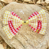 Silly Ol' Gingham Bear
