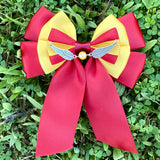 Gryffindor Quidditch Team